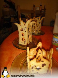 dsc00437_reduite_tampon