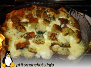 dsc00972_reduite_tampon