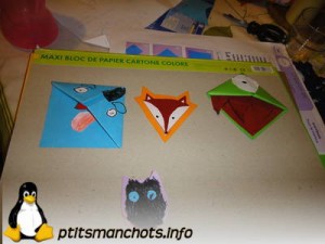 dsc01774_reduite_tampon