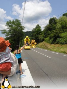 dsc01893_reduite_tampon