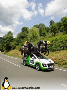 dsc01908_reduite_tampon