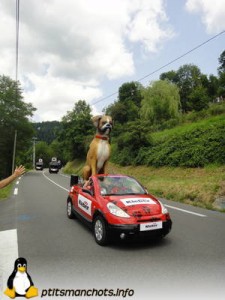 dsc01918_reduite_tampon