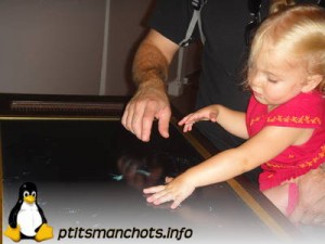 dsc02345_reduite_tampon