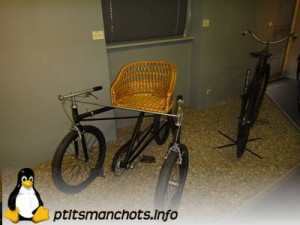 dsc02371_reduite_tampon