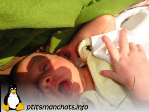 dsc02398_reduite_tampon