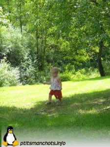 dsc02440_reduite_tampon