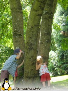 dsc02447_reduite_tampon