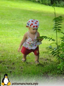 dsc02461_reduite_tampon