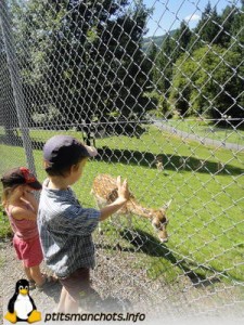 dsc02463_reduite_tampon