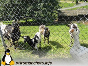 dsc02469_reduite_tampon