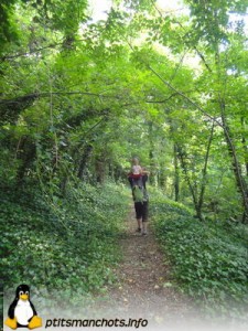 dsc02475_reduite_tampon