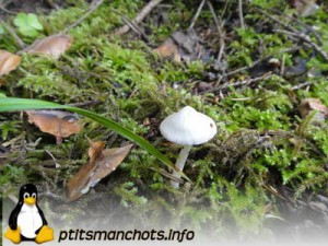 dsc03696_reduite_tampon