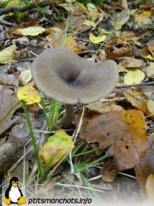 dsc03728_reduite_tampon