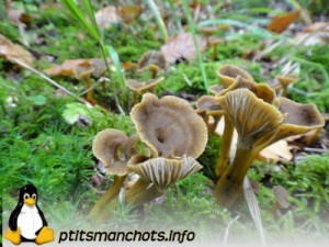 dsc03762_reduite_tampon