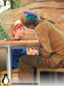 dsc03855_reduite_tampon