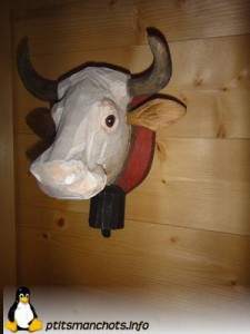 dsc04069_reduite_tampon