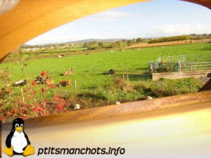 dsc04124_reduite_tampon