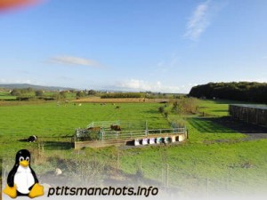 dsc04131_reduite_tampon