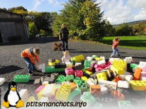 dsc04147_reduite_tampon