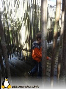 dsc04151_reduite_tampon