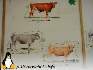 dsc04159_reduite_tampon