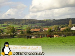 dsc04161_reduite_tampon