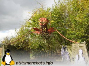 dsc04173_reduite_tampon